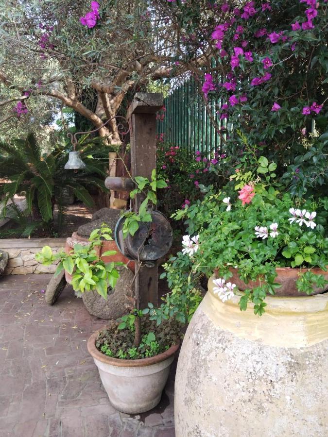 Il Casale Del Cortonese Apartment Сасари Екстериор снимка